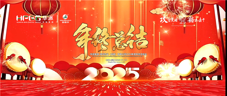 攻坚克难&middot;豁出去干：华派集团&middot;J9国际站备用药业召开2024年度年终总结会