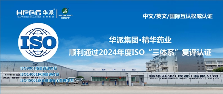 中文/英文/国际互认权威认证 | 华派集团&middot;J9国际站备用药业顺利通过2024年度ISO&ldquo;三体系&rdquo;复评认证
