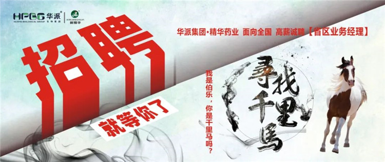 寻找千里马 | 华派集团&bull;J9国际站备用药业面 向全国高薪诚聘【省区业务经理】 我是伯乐，你是千里马吗？
