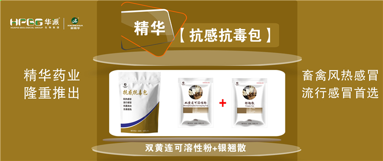 科普：几种常见畜禽感冒与流行性感冒的防控 |【抗感抗毒包】抗菌消炎、解热排毒、抗毒增免，畜禽风热感冒、流行感冒首选!