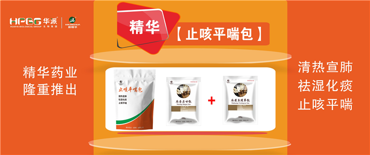 科普：畜禽呼吸道疾病的防控技术 |【止咳平喘包】清热宣肺、祛湿化痰、止咳平喘，畜禽呼吸道疾病引起的各种咳喘防控首。