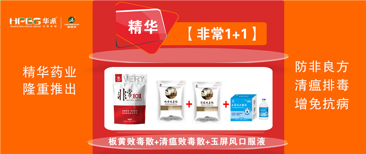 科普：非洲猪瘟防控措施 |【非常1+1】防非良方, 清瘟排毒、增免抗病，加快猪瘟抗体产生!